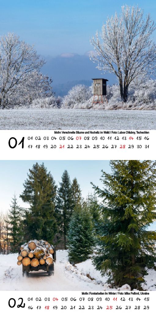 Tierzauber Jagd & Forst Kalender für 2024  Kaufland.de