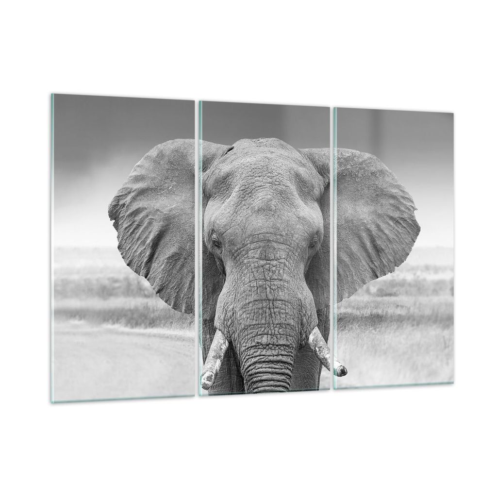 Bilder auf glas - 3 Teile - Elefant Afrika Tier - 165x110cm - Glasbilder - Wandbilder - Bilder - zum Aufhängen bereit - Wanddekoration aus Glas - ...
