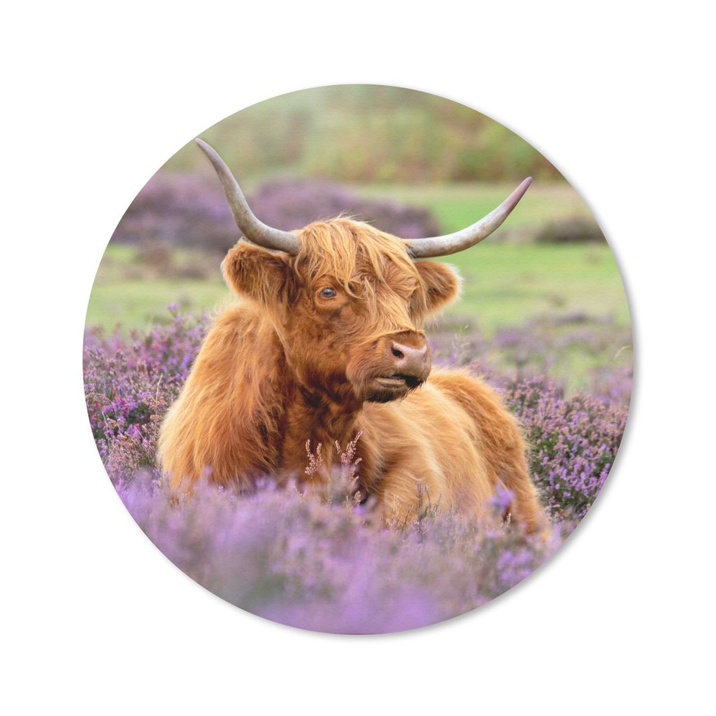MuchoWow Mauspad Mousepad Schottischer Highlander - Blumen - Licht 30x30 cm - Mousepads - Maus Mat - Pad - Mausunterlage - Tischunterlage - Schre...