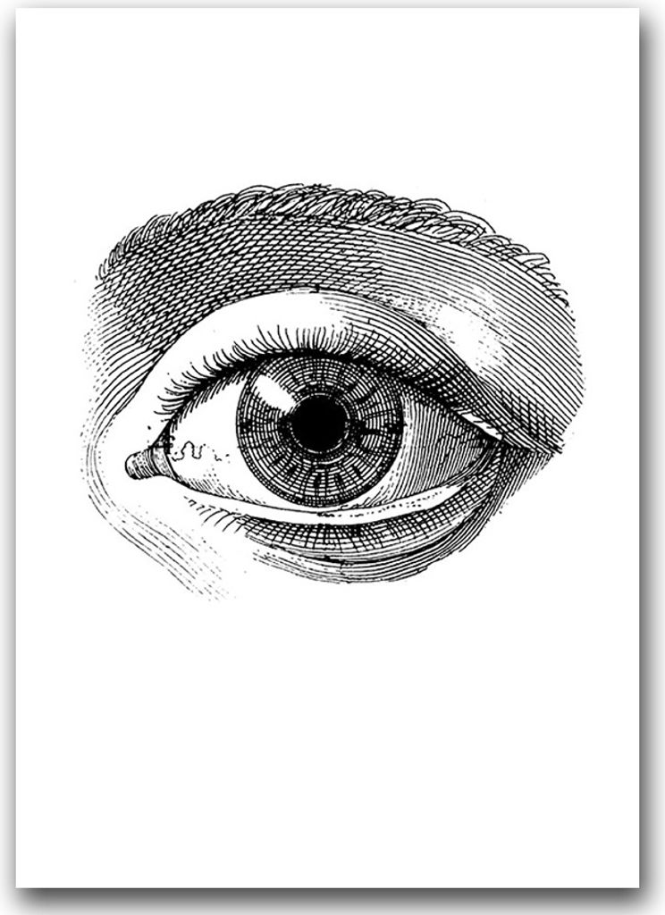 Poster - Canvas - Leinwand - 59,4 cm x 84,1 cm - Fotoposter - Leinwandkunst - Auge Anatomie