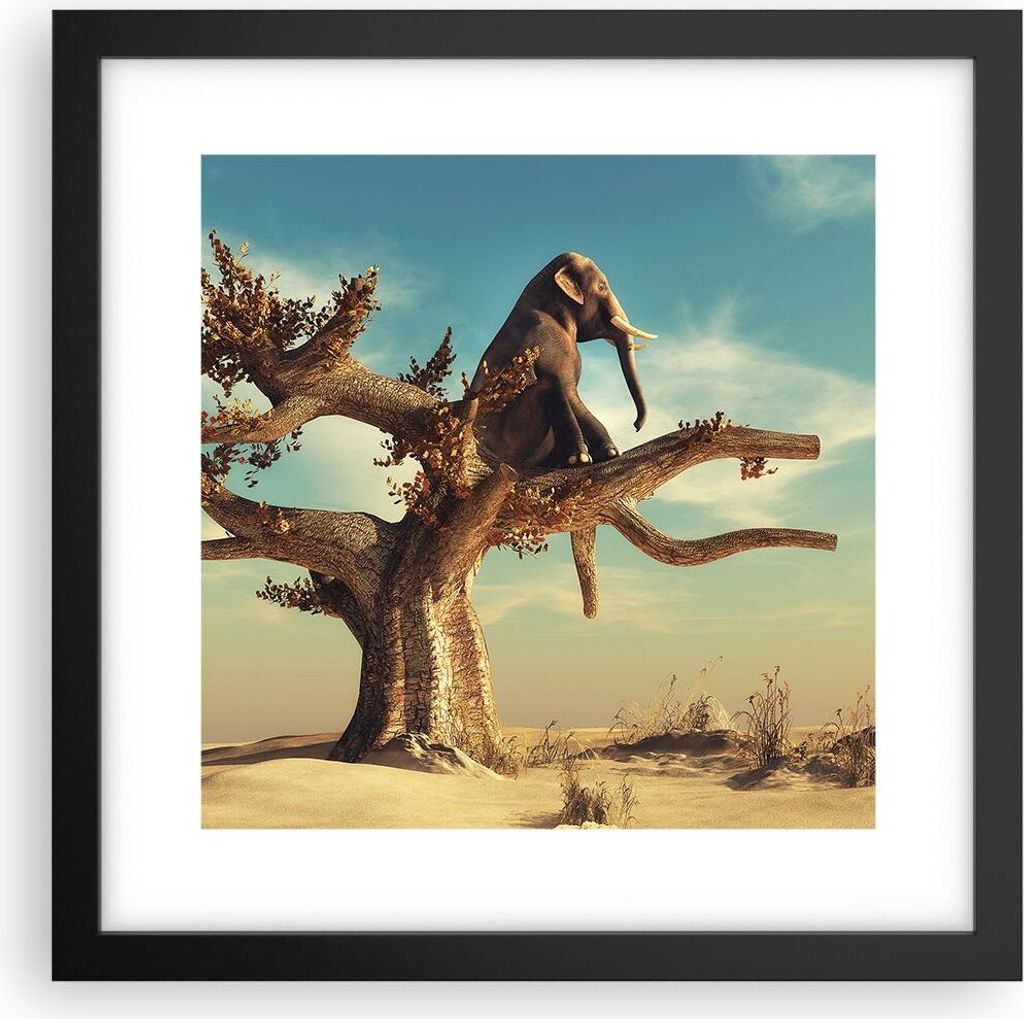 Gerahmtes Poster - Schwarzer Rahmen - Sitzen Elefant Baum - 30x30 cm - Wand Bild - Wanddeko - Wandbilder - Kunstposter - Wandposter - Bilderrahmen ...