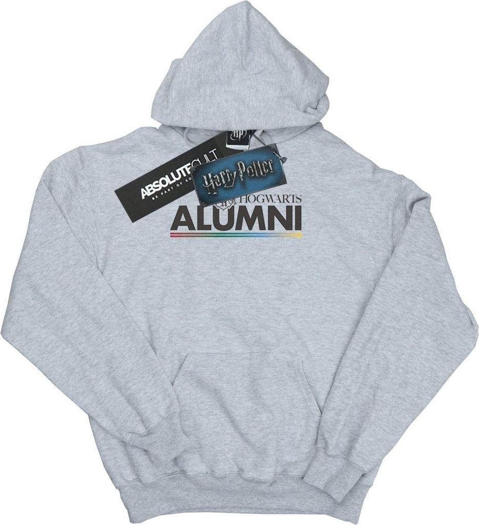 Harry Potter - "Hogwarts" Kapuzenpullover für Herren BI12040 (XL) (Grau)