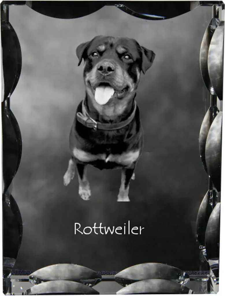 Rottweiler in Cristallo Personalizzato | Cornice Foto Art-Dog Regalo