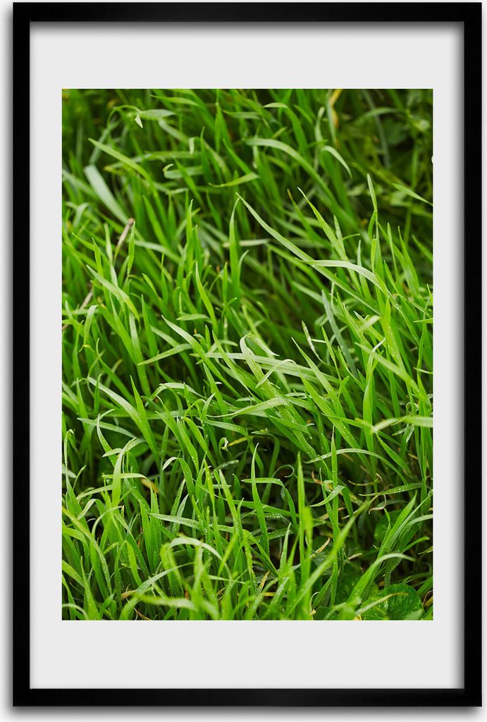 Bild - Bilderrahmen - 40 cm x 60 cm - MDF - Rahmen - Wandkunst - Gras