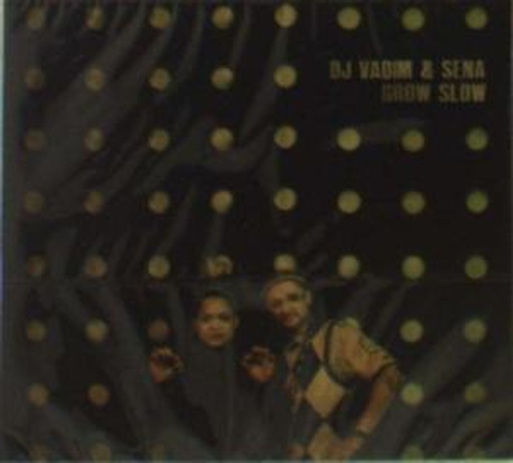 DJ Vadim & Sena-Grow Slow