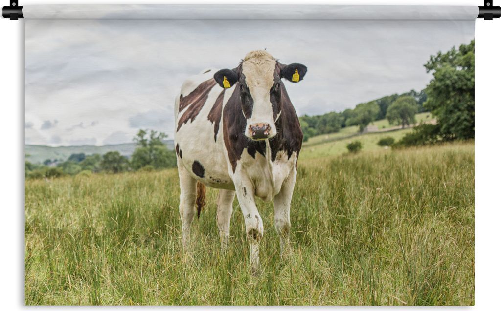 MuchoWow Wandteppich Wandbehang Kuh - Gras - Landschaft 150x100 cm Tapisserie Dekoration Wandtuch - Waschbar - Tapisserien - Wand-Decke