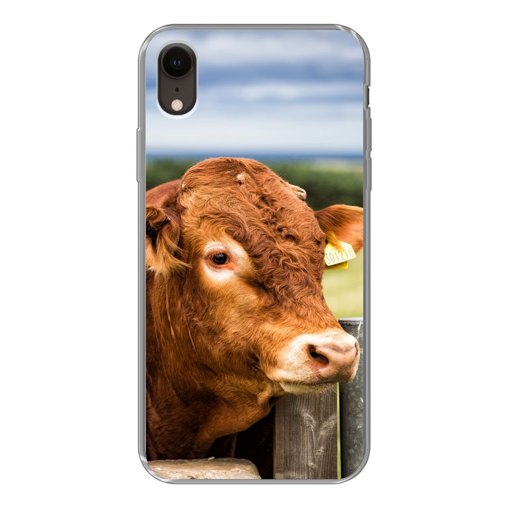 MuchoWow Handyhülle Schutzhülle Hülle für iPhone XR Schottischer Highlander - Berg - Zaun Silikon Softcase Handy Hülle - Schutzdeckel