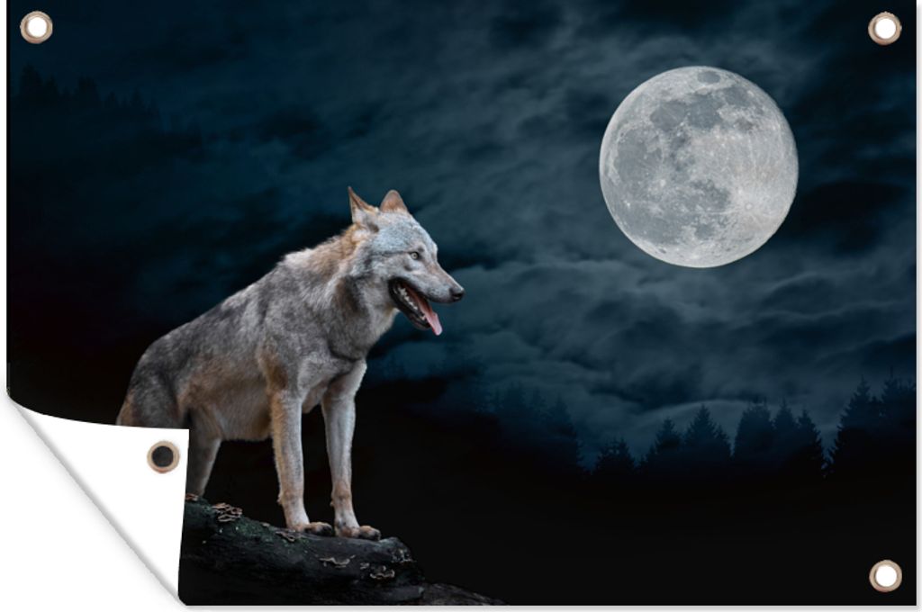 MuchoWow 60x40 cm Outdoor-Poster Gartendeko Sichtschutz Garten Poster für den Garten Wolf - Mond - Nacht - Tiere - Porträt
