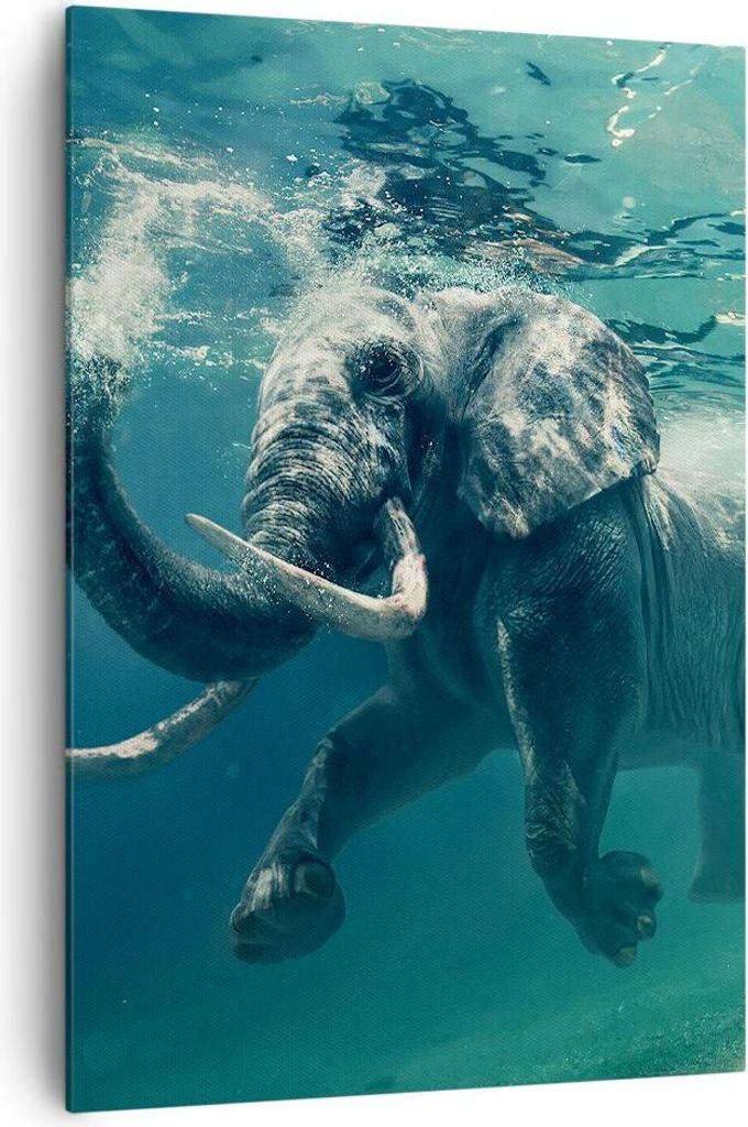 Bild auf Leinwand - Leinwandbild - Einteilig - Elefant Tier Wasser - 70x100cm - Wand Bild - Wanddeko - Wandbilder - Leinwanddruck - Wanddekoration ...