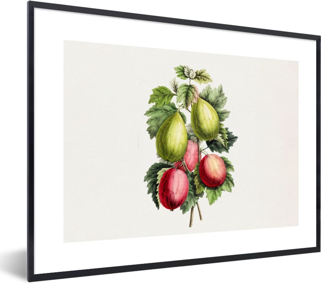 MuchoWow Gerahmtes Poster Früchte - Feigen - Blätter 40x30 cm - Poster mit Schwarzem Bilderrahmen Wandposter Rahmen Foto Bilder - Kunstposter -...