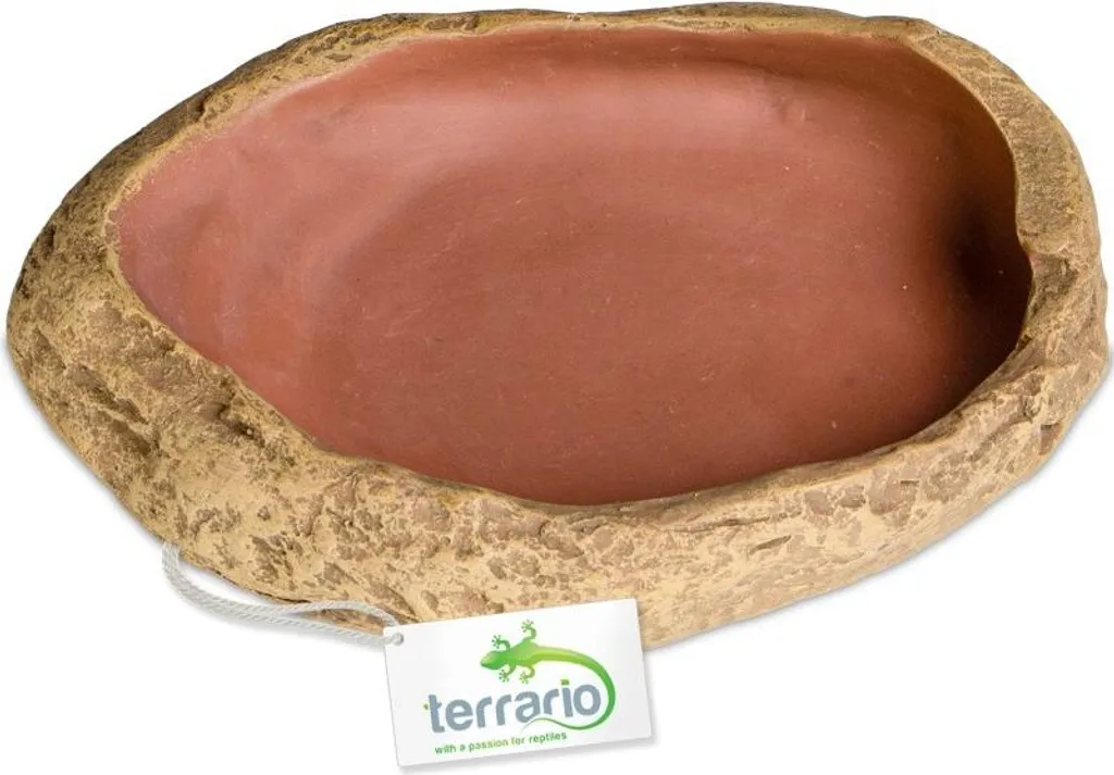 Bol d'eau naturel Terrario Rock Oasis M pour gecko et serpent 14,5 cm