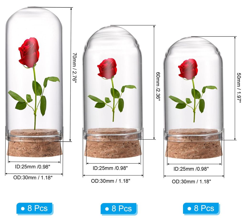 Klare Cloche-Glasglocke, 24er-Pack Glasglocken-Display-Geh?use Tischmitte mit Korkboden fš¹r LED-Lichtpflanzen-Heimdekoration 1,57x1,18 Zoll