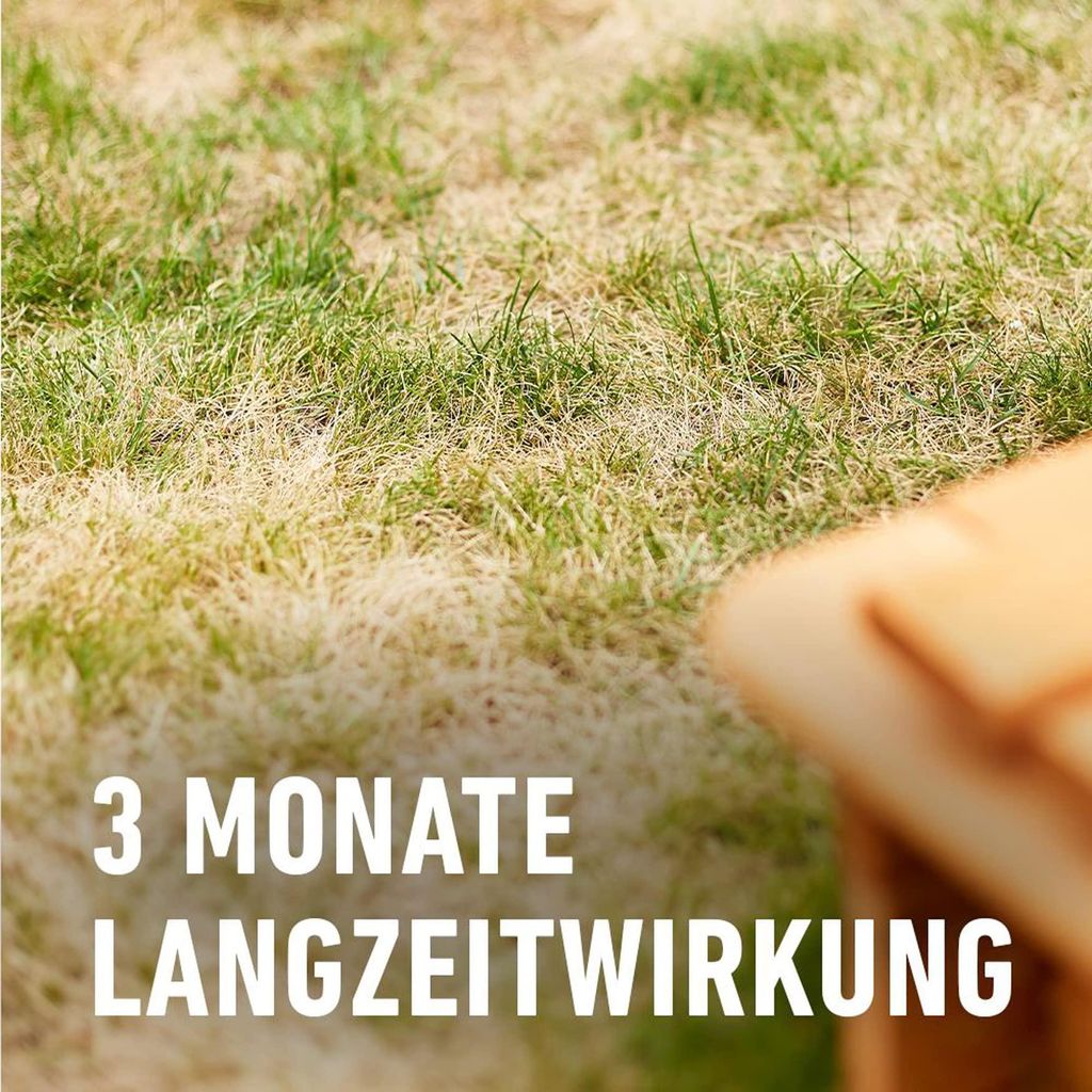 künstliche wimpern welche sind die besten Natural Edition Wimpern 5 Paare – sanfter Doll & Soft Cat Eye Lash Style,  DIY zuhause main image 0