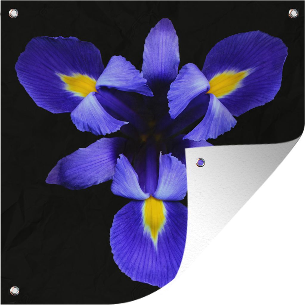 MuchoWow 100x100 cm Outdoor-Poster Gartendeko Sichtschutz Garten Poster für den Garten Blaue Iris Nahaufnahme