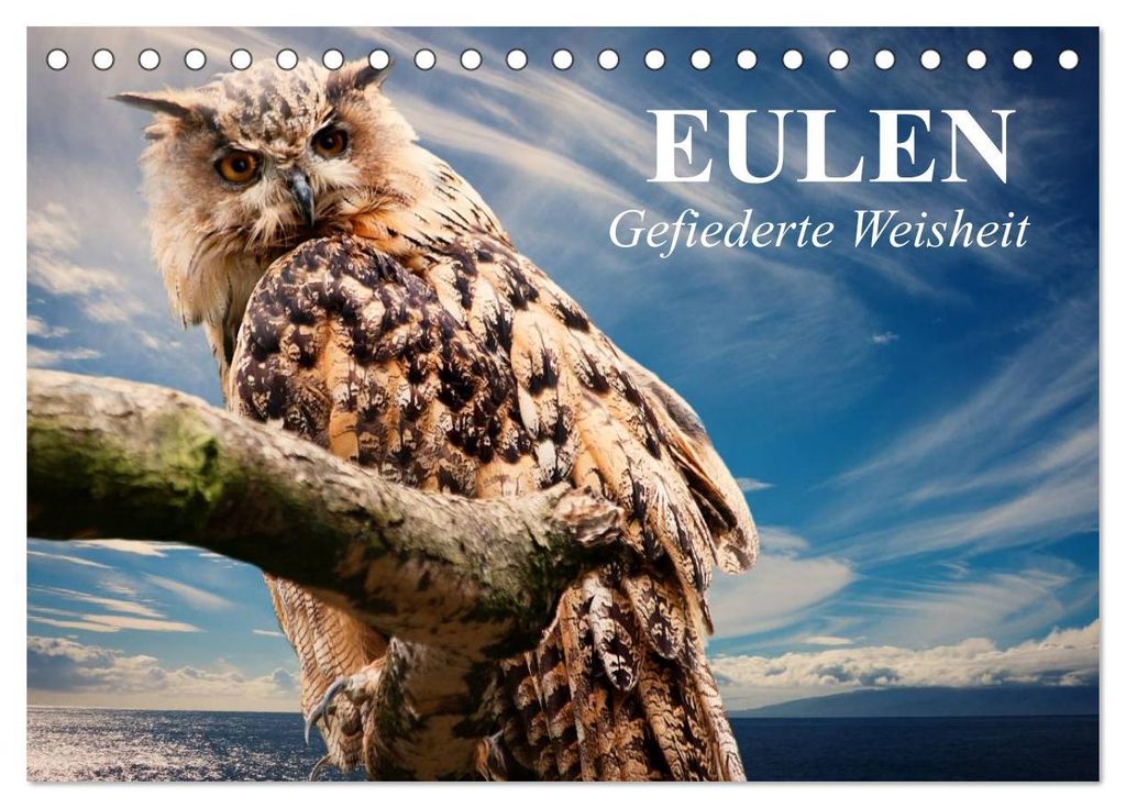 Eulen. Gefiederte Weisheit (Tischkalender 2027 DIN A5 quer), CALVENDO Monatskalender