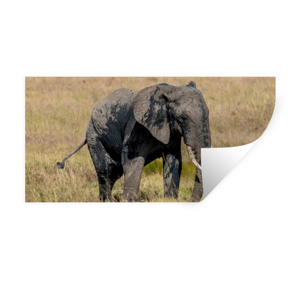 MuchoWow Wandtattoo Wandsticker Wandaufkleber Elefant - Gras - Tiere - Natur 160x80 cm Selbstklebend und Repositionierbar - Sticker - Dekorfolie