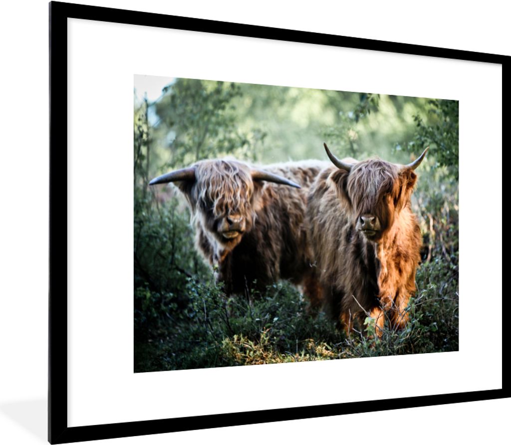MuchoWow Gerahmtes Poster Schottische Highlander - Wald - Tiere 80x60 cm - Poster mit Schwarzem Bilderrahmen Wandposter Rahmen Foto Bilder - Schl...