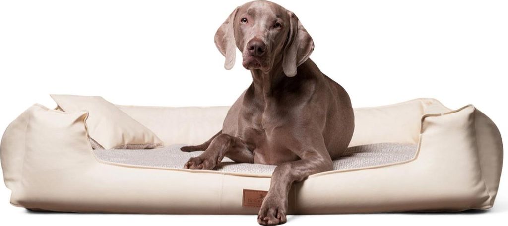 tierlando Nonplusultra LINUS orthopädisches Hundebett Visco PLUS Kunstleder - Größe: 110x90cm | Farbe: 05 Creme