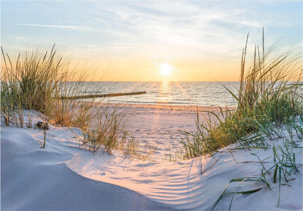 Fototapeta plaża i morze Morze Bałtyckie natura wydmy Zdjęcie produktu 