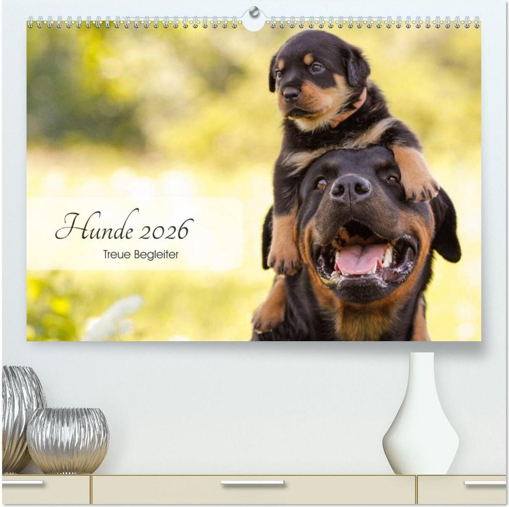 Hunde 2026 - Treue Begleiter (hochwertiger Premium Wandkalender 2026 DIN A2 quer), Kunstdruck in Hochglanz