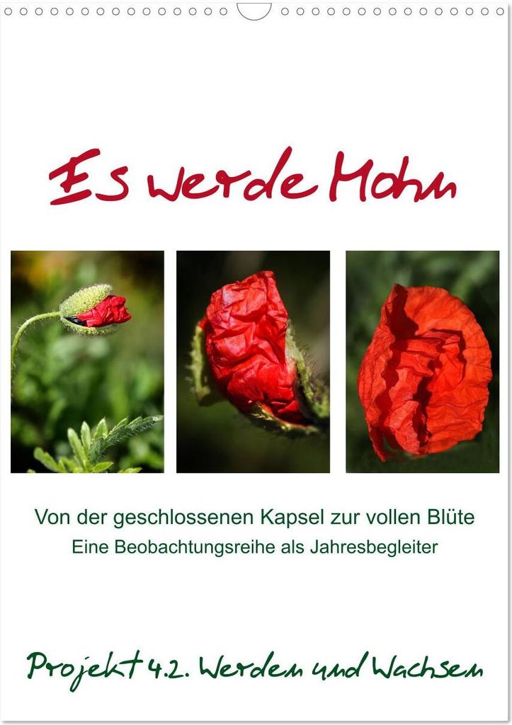 Es werde Mohn (Wandkalender 2026 DIN A3 hoch), CALVENDO Monatskalender