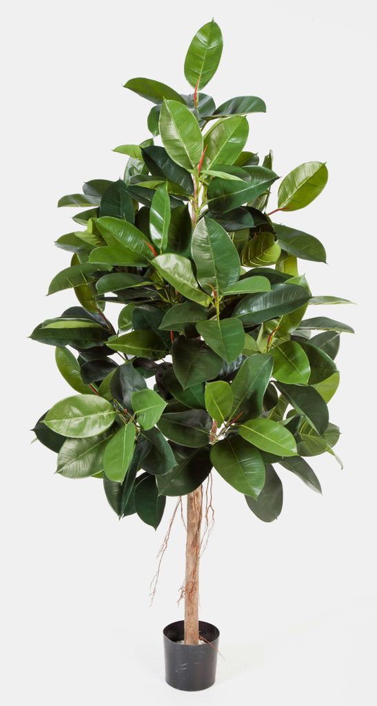 artplants.de Künstlicher Gummibaum Devi, 174 Blätter, grün, 180cm - Kunst Gummibaum - Deko Baum
