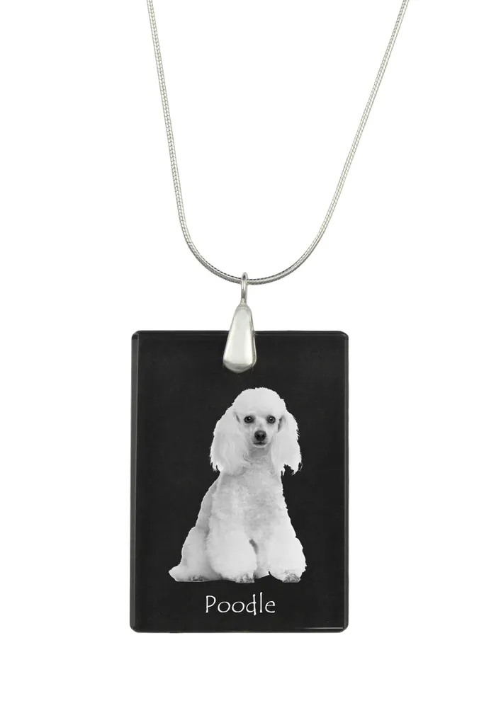 Barboncino - Ciondolo in cristallo con cane, collana in argento con foto, ciondolo personalizzato del marchio Art-Dog
