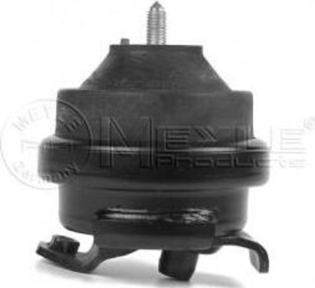 Meyle Lagerung, Motor 100 199 0003