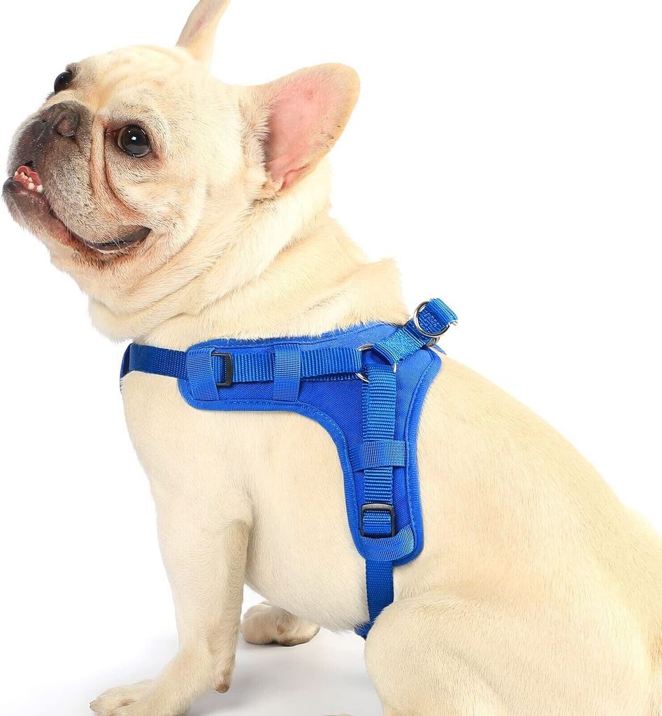 Hundegeschirr Einstellbar Anti Zug Geschirr Klein Weich Produktbild 