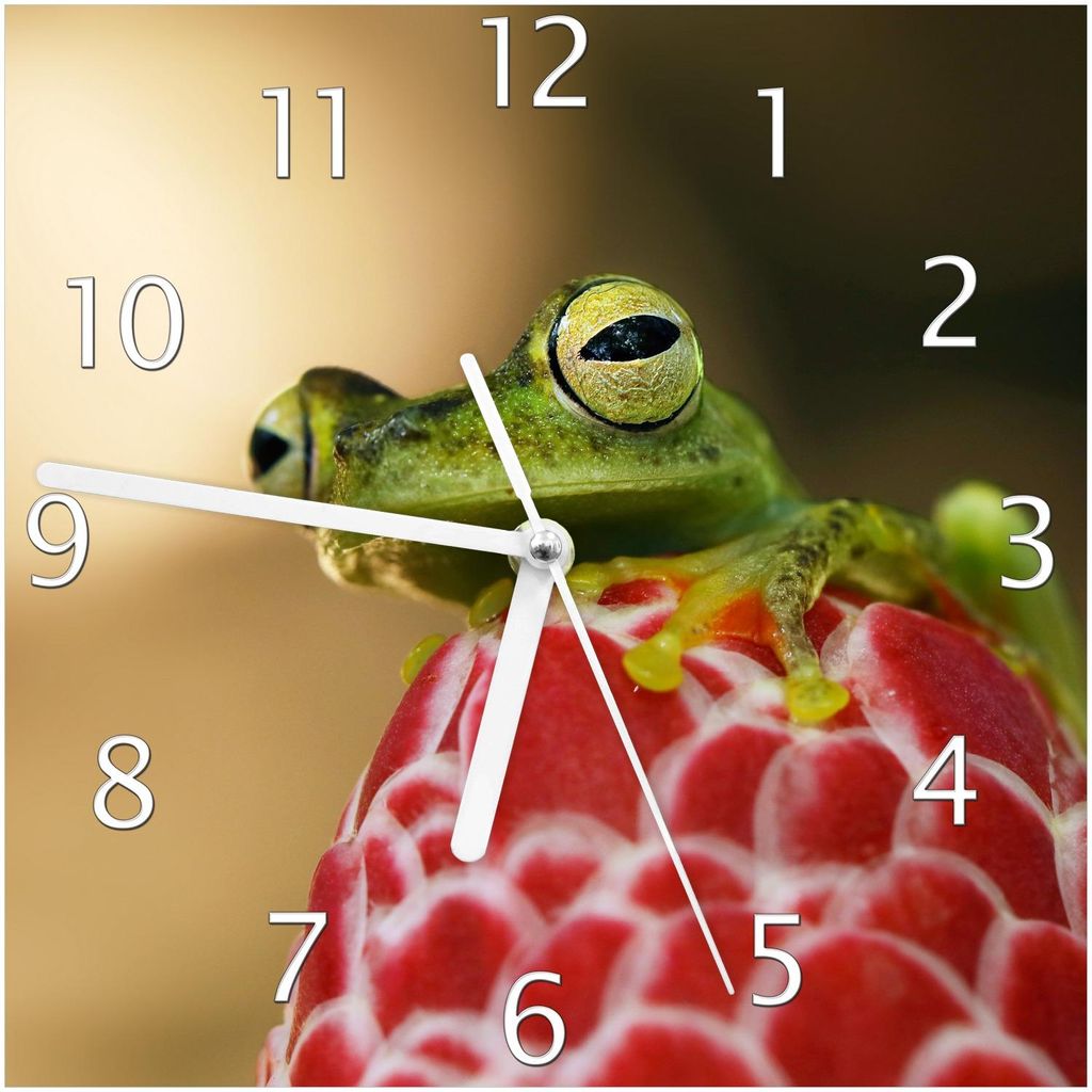 Wallario Design Wanduhr Frosch sitzt auf einer Knospe aus Echtglas, Größe 20 x 20 cm