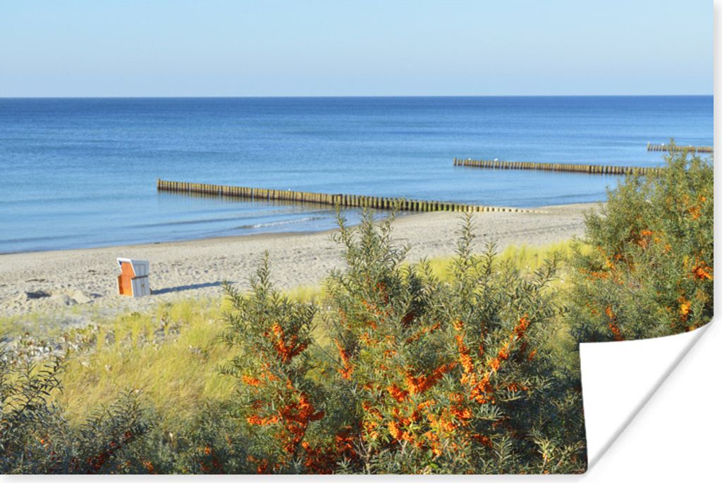MuchoWow Poster Ostsee - Strand - Bäume 30x20 cm - Plakate - Print