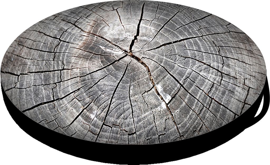 Bertoni | Katzenbett, 4 cm dick, Katzenmatratze, flexible Schaumstoffeinlage, Durchmesser 55 cm Olcha