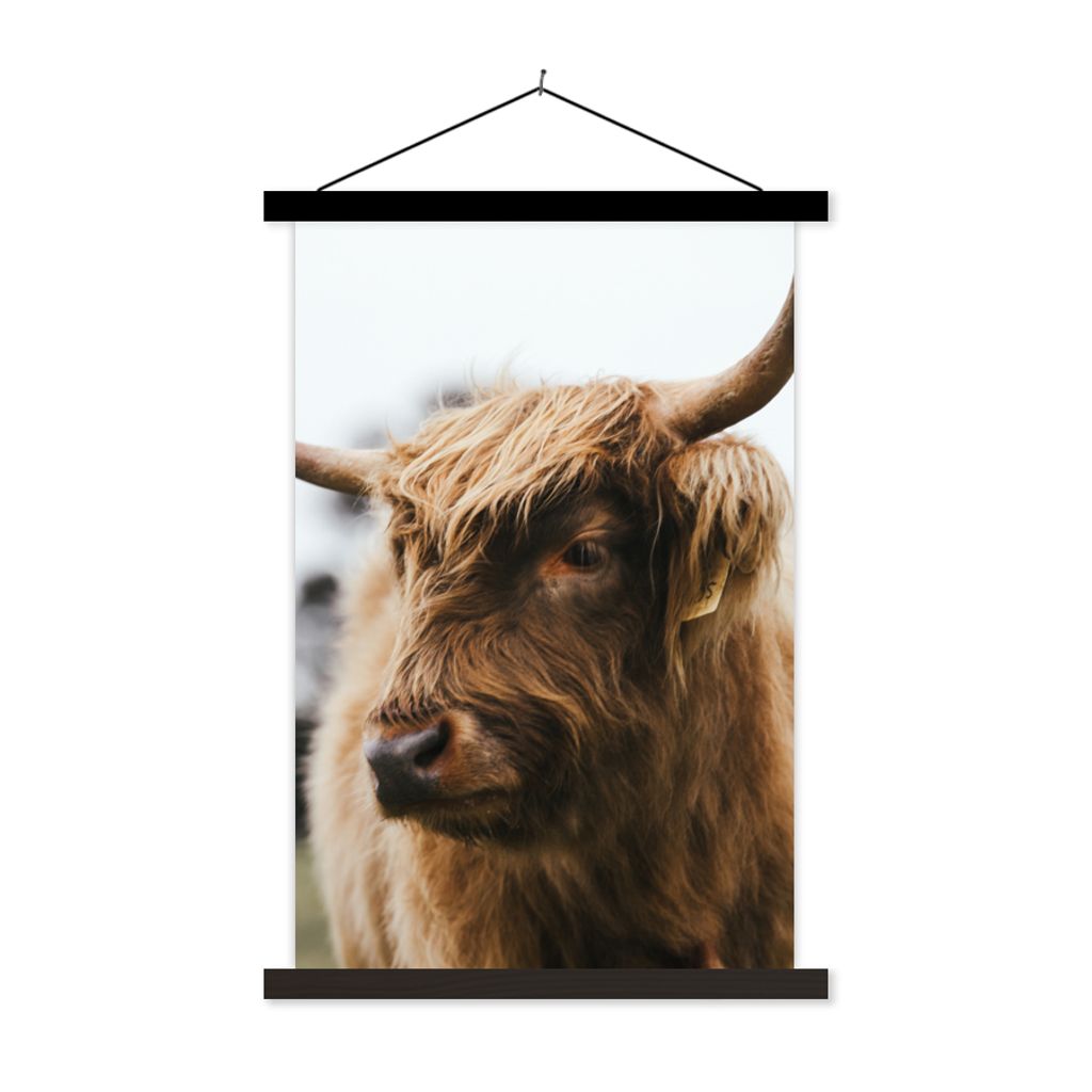 MuchoWow Textilposter Schottischer Highlander - Tiere - Hörner 40x60 cm mit schwarzem Rahmen - Wanddekorationen