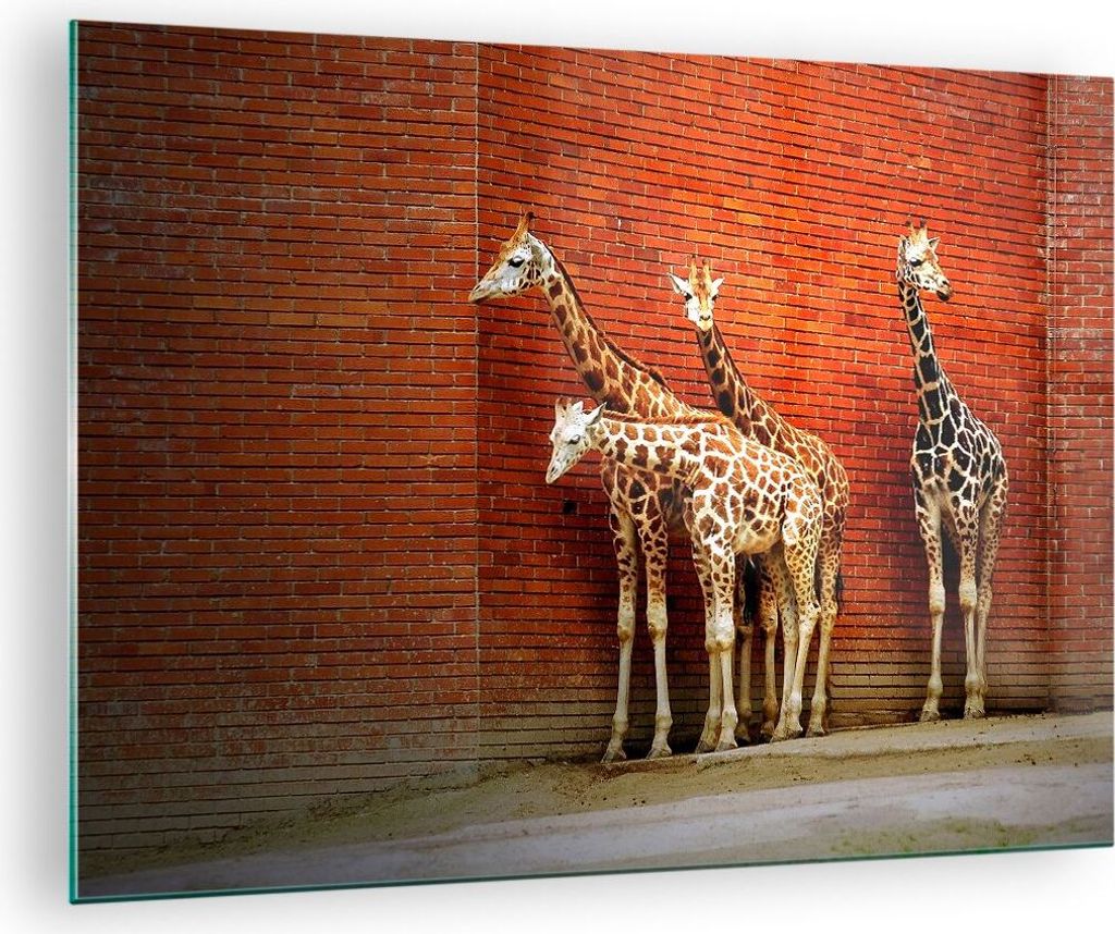 Bilder auf glas - Tiere Giraffen Zoo Familie - 70x50cm - Glasbilder - Wandbilder - Kunstdruck - zum Aufhängen bereit - Wanddekoration aus Glas - G...