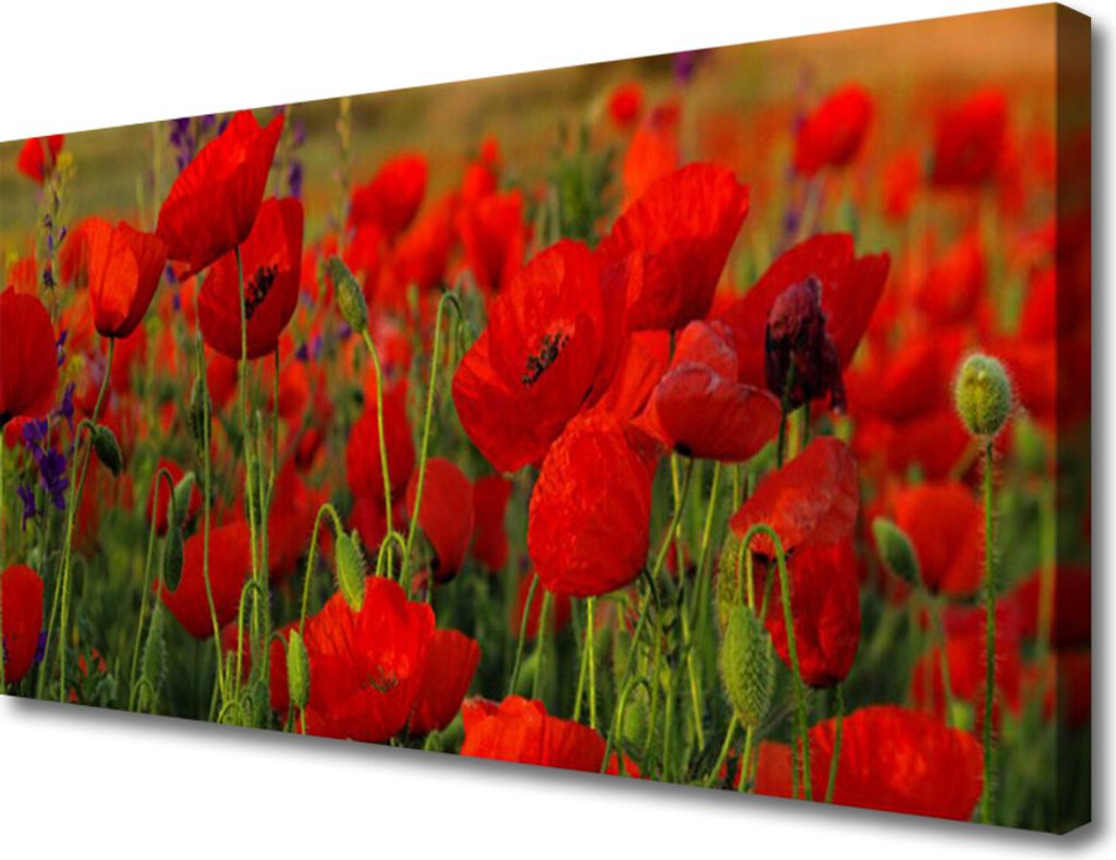 Tulup Leinwand-Bilder 100x50 Wandbild Canvas Kunstdruck Produktbild 