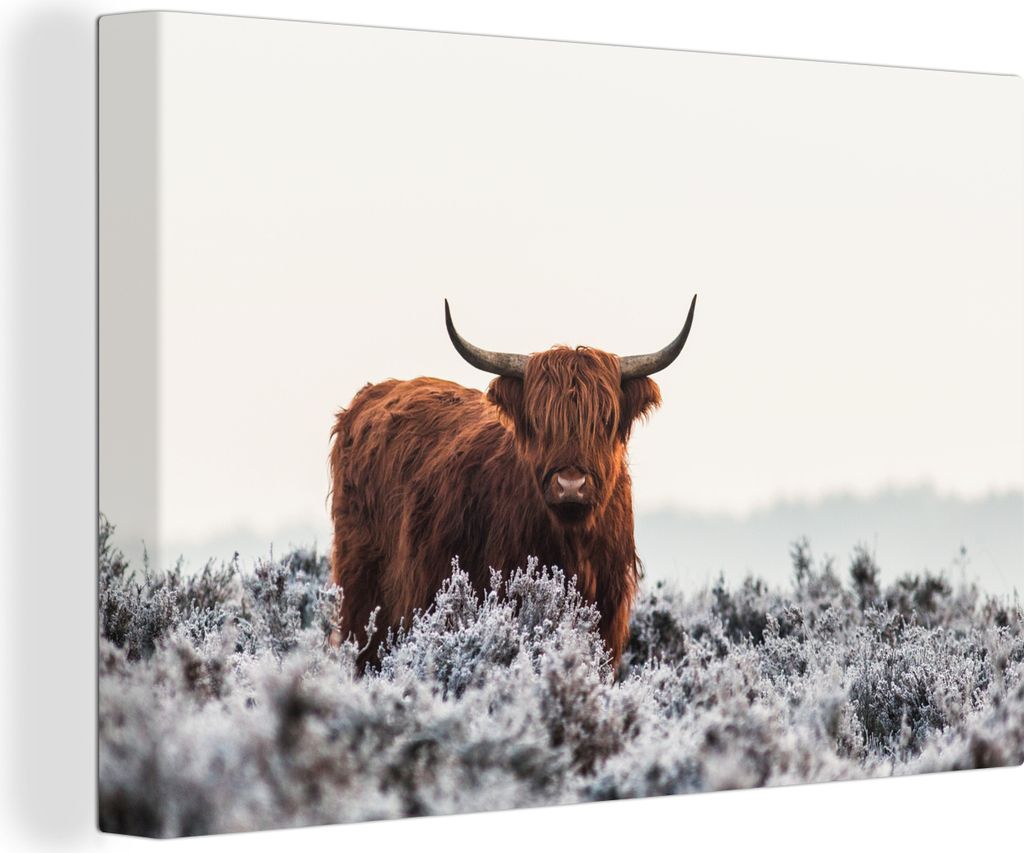 OneMillionCanvasses - Leinwandbilder - 140x90 cm, Schottische Hochlandrind - Winter - Tiere, Wandbilder Kunstdruck Wanddekoration