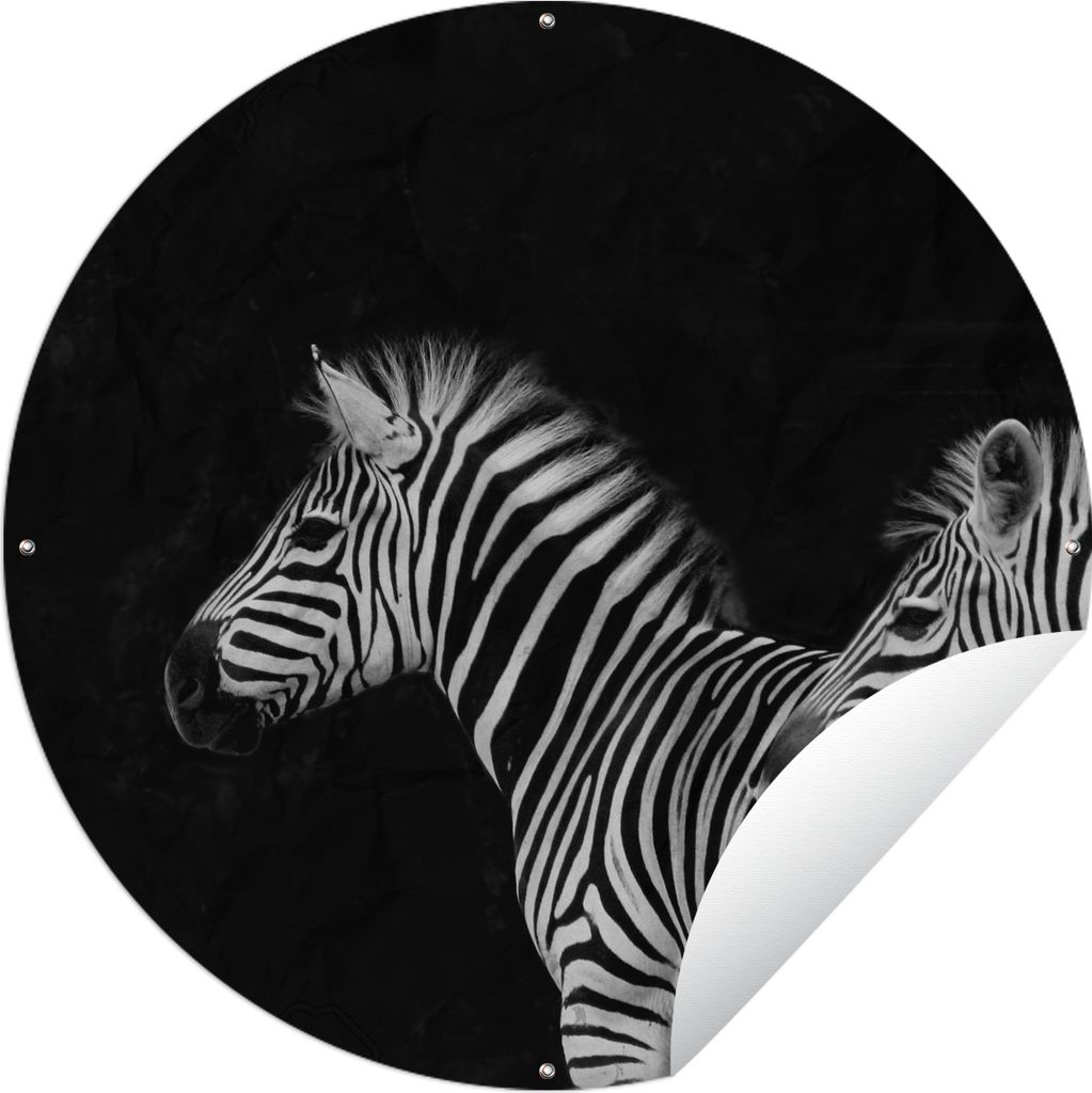 MuchoWow Gartenposter Outdoor-Poster Rund Zebra - Weiß - Tiere - Schwarz Ø 60 cm Gartendeko Rundes Poster draußen
