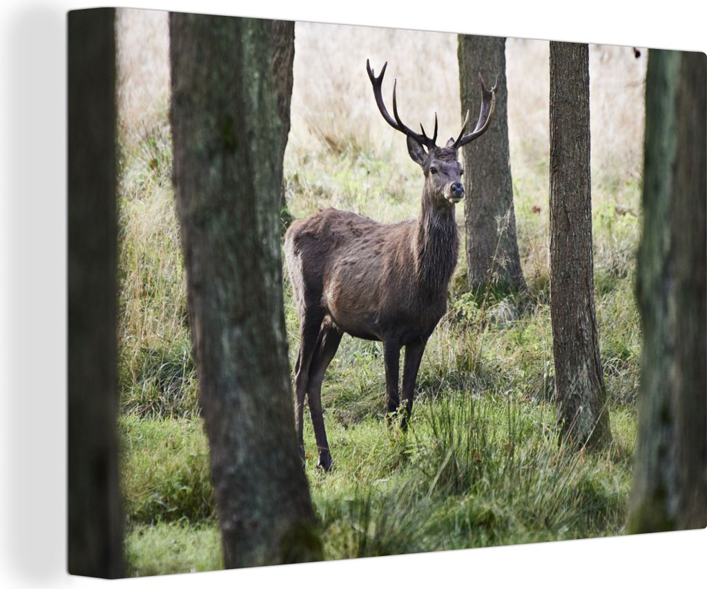 OneMillionCanvasses - Leinwandbilder - 140x90 cm, Hirsche - Bäume - Gras, Wandbilder Kunstdruck Wanddekoration - Foto auf Leinwand - Gemälde au...