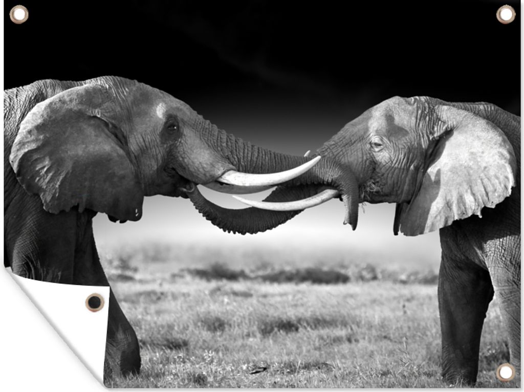 MuchoWow 80x60 cm Outdoor-Poster Gartendeko Sichtschutz Garten Poster für den Garten Elefant - Tiere - Schwarz und weiß - Porträt - Landschaft