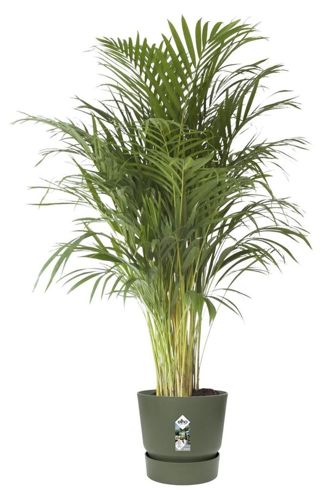 ELHO Vaso da fiori Greenville rotondo 40 cm, verde Immagine del prodotto 