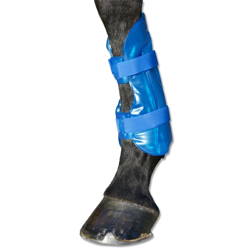 Guêtre de récupération cheval Hot-Chilly Leg bleue pour le soin