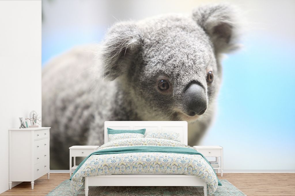 MuchoWow Fototapete für Wohnzimmer oder Schlafzimmer Wandtapete Vinyl Motivtapete Koala - Porträt - Tier - Kinder - Jungen - Mädchen - 390x260...