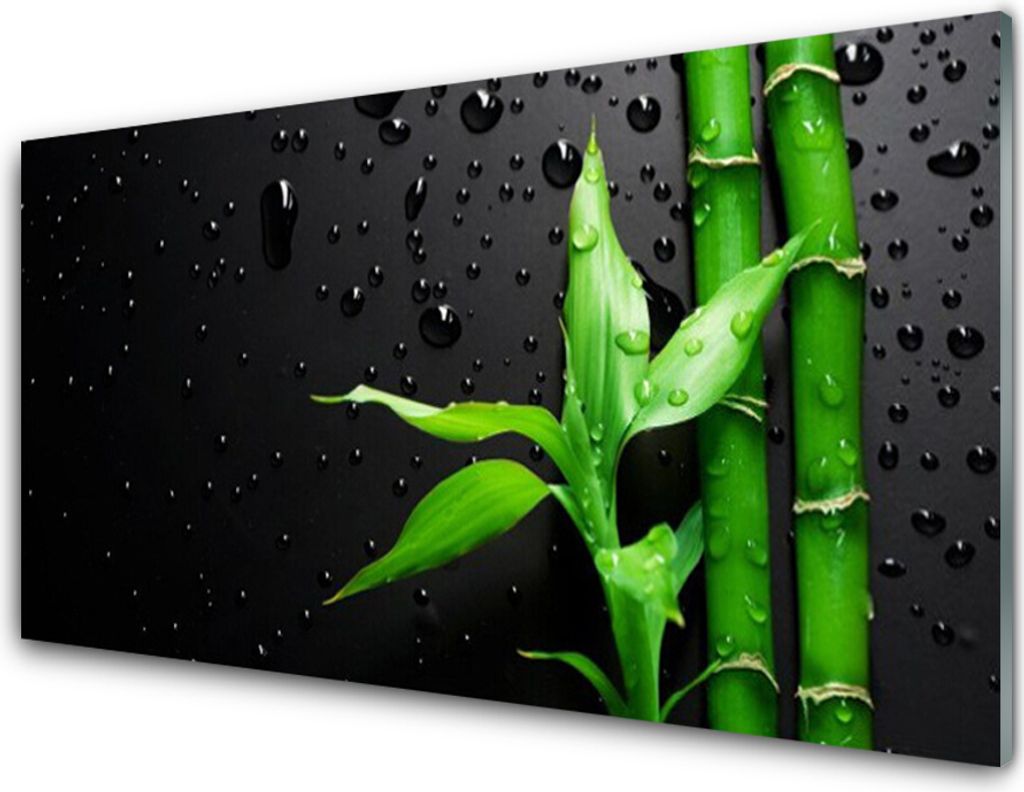 Acrylglasbilder 100x50 Wandbild Druck Bambus Blätter Pflanzen