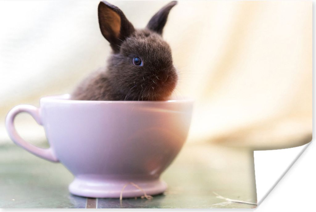 MuchoWow Poster Kaninchen - Baby - Teetasse 30x20 cm - Plakate - Print