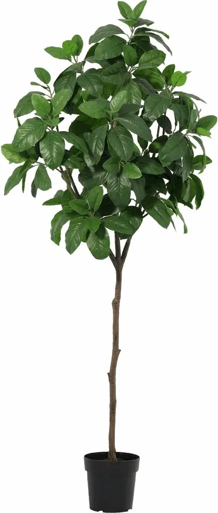 Arbre Artificiel Magnolia 190 cm Grande Taille Déco Salon et Bureau