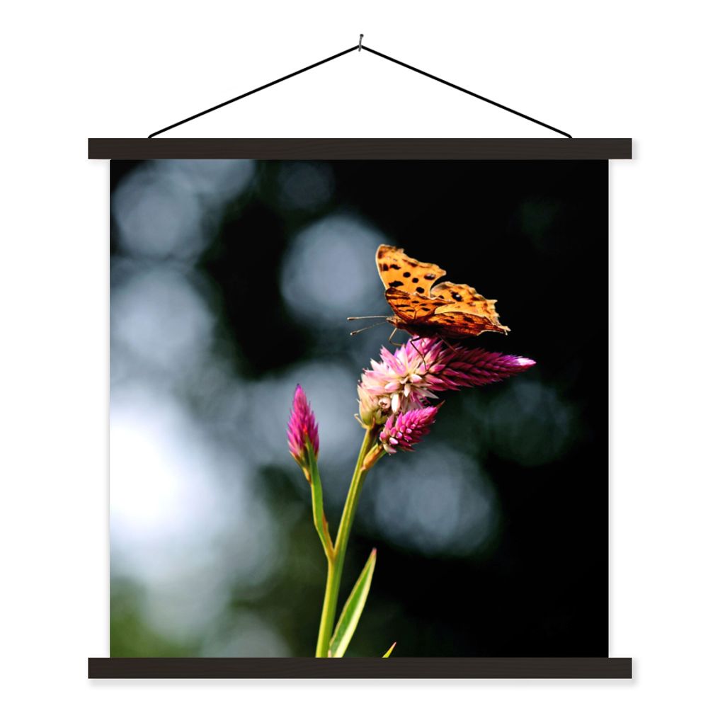 MuchoWow Textilposter Schmetterling - Blumen - Insekten 40x40 cm mit schwarzem Rahmen - Fotos