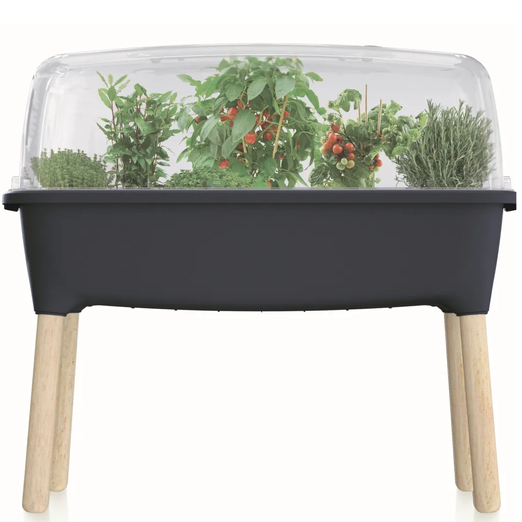 Pot de fleurs avec couvercle : Mini serre anthracite pour vos semis bio - 2