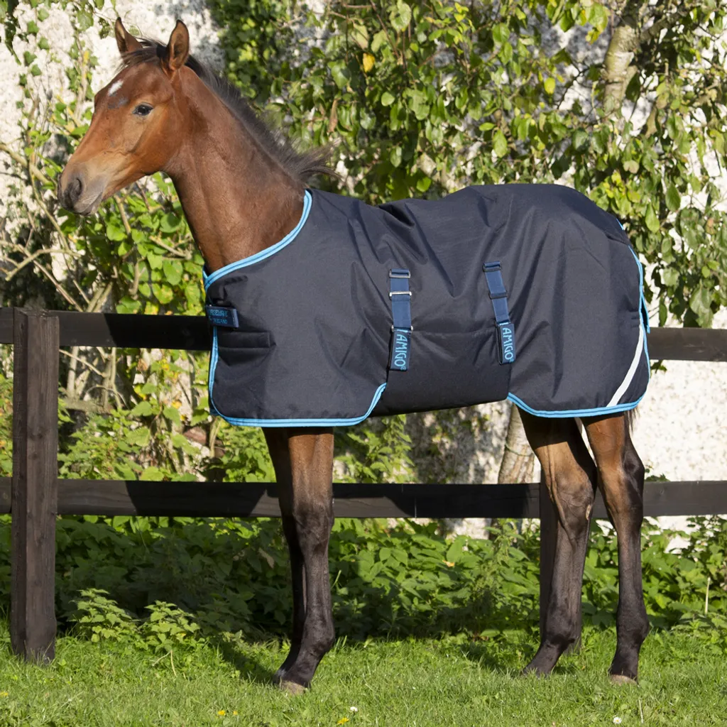 Couverture poulain Amigo Ripstop 50g contre le froid et les accrocs