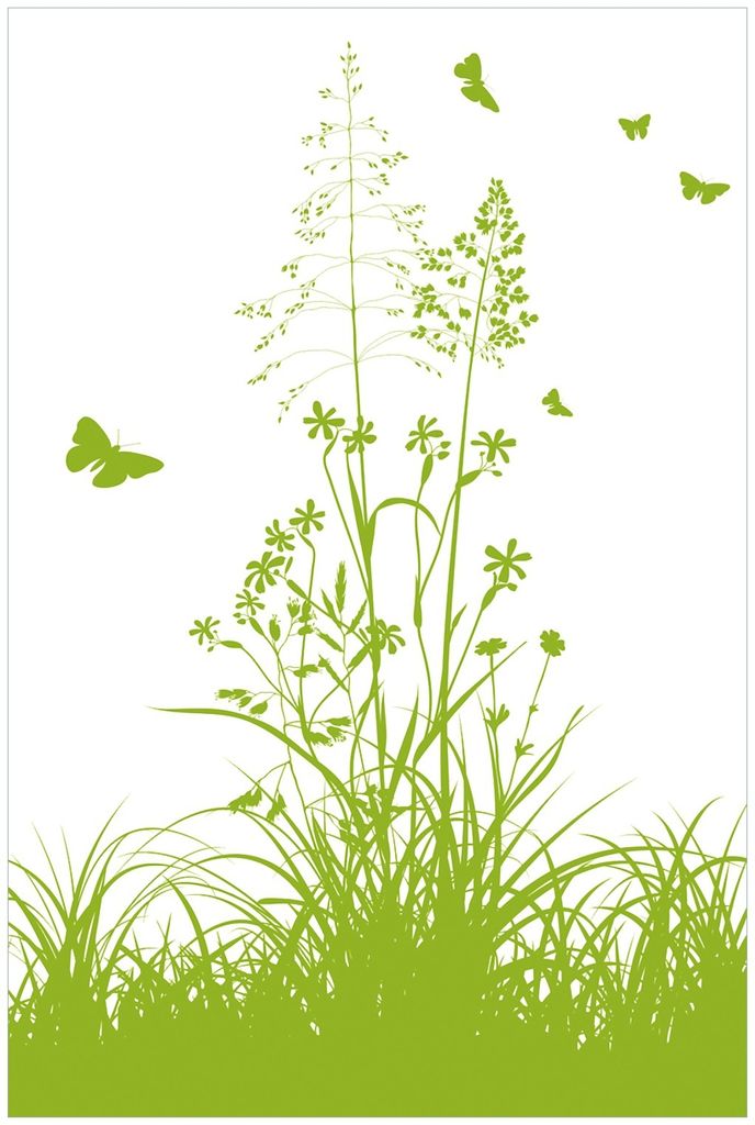 Wallario Premium Glasbild, freischwebende Optik, kräftige Farben, Größe 90 x 60 cm Motiv Grüne Sommerwiese
