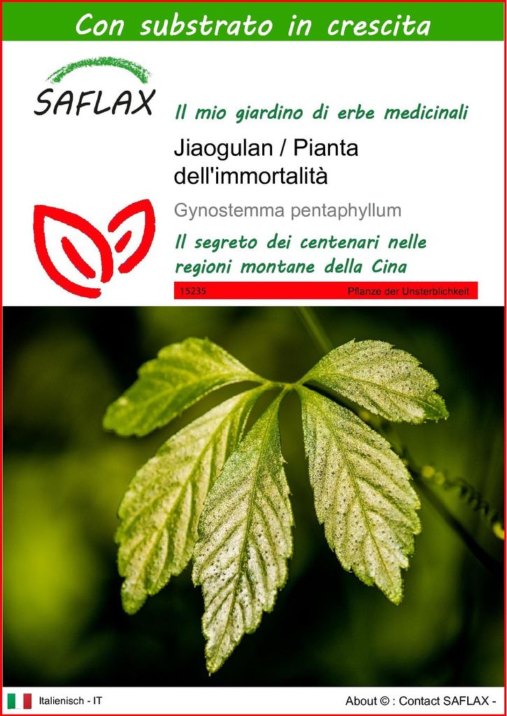 SAFLAX  - Jiaogulan / Pianta dell'immortalità - 30 semi - Immagine del prodotto 